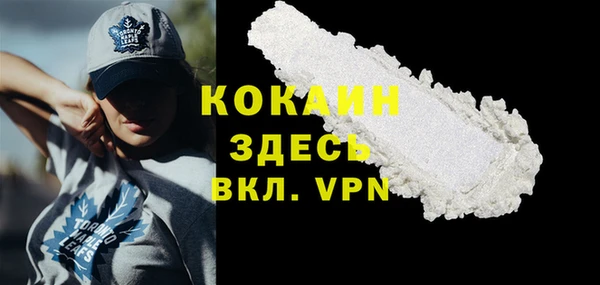 дживик Козельск