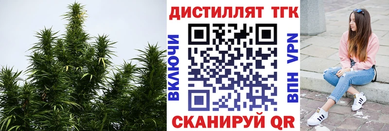 Дистиллят ТГК вейп с тгк  продажа наркотиков  мега маркетплейс  Кизляр 