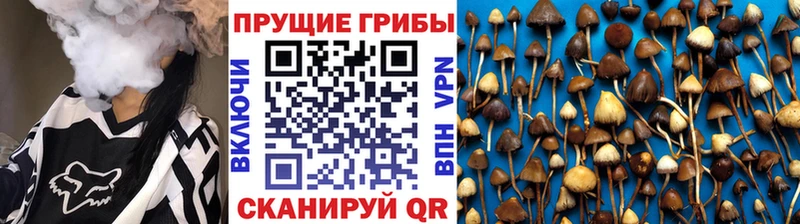 Галлюциногенные грибы ЛСД  купить наркоту  Кизляр 